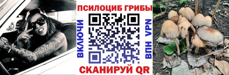 дарк нет формула  Североморск  Галлюциногенные грибы ЛСД 